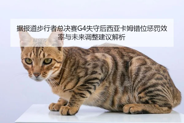 ju-bao-dao-bu-xing-zhe-zong-jue-sai-shi-shou-hou-xi-ya-ka-mu-cuo-wei-cheng-fa-xiao-lv-yu-wei-lai-tiao-zheng-jian-yi-jie-2-171.jpg